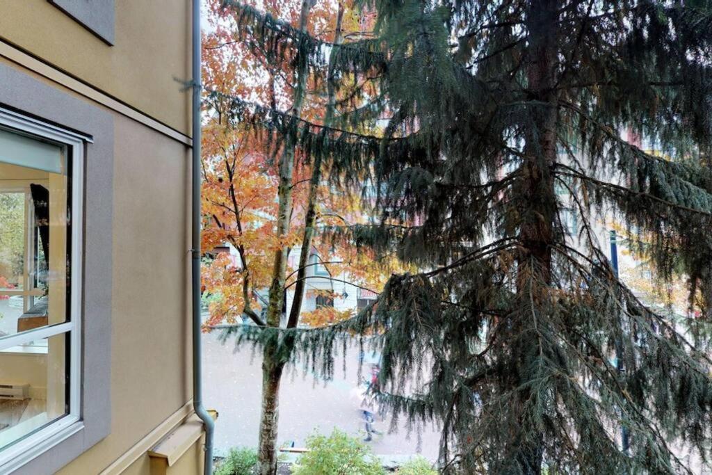 Bear Lodge, Village - Spectacular Location On Village Stroll, Designer Remodel